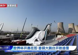 法国杯积分榜最新排名