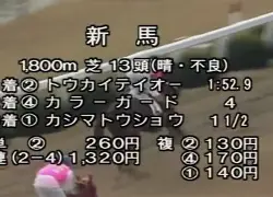 女排欧联杯赛程